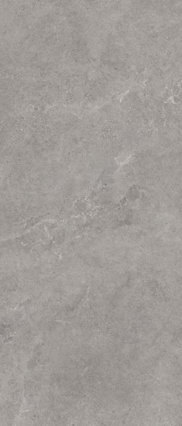 Paradyż Authority Grey Mat (My Way) 119,8x279,8