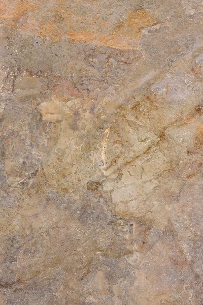 Paradyż Burlington Rust Płyta Tarasowa 2.0 59,5x89,5
