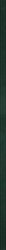 PARADYZ PAR uniwersalna listwa szklana paradyż green 2,3x89,8 g1 023x898 g1 szt