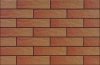 CERRAD elewacja kalahari rustiko 245x65x6,5 g1 m2