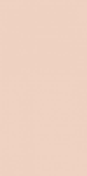 PARADYZ KW fiori coral ściana 30x60 g1 300x600 g1 m2