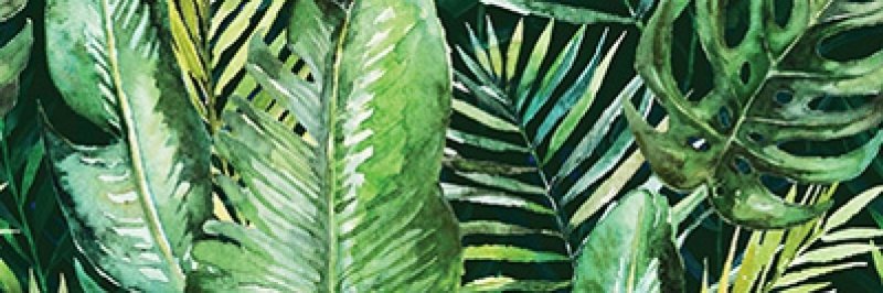 CERAMIKA KOŃSKIE braga tropic a inserto 25x75 rect g1 szt