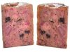 Carnilove Dog Wild Meat Salmon & Turkey Adult - łosoś i indyk puszka 400g