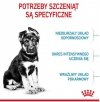Royal Canin Maxi Puppy karma sucha dla szczeniąt, od 2 do 15 miesiąca życia, ras dużych 3kg