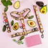 Collar WauDog Nylon Obroża nylonowa z QR-paszportem, plastikowy fastex, wzór AWOKADO NA RÓŻU, M 20mm/28-40cm
