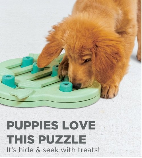 Nina Ottosson Puppy Hide &#039;N Slide Green - gra edukacyjna [69538]