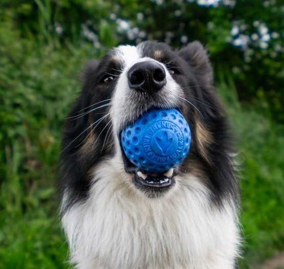 Kiwi Walker Let&#039;s Play Ball Mini piłka pomarańczowa