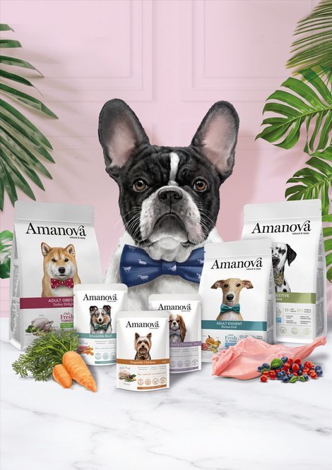 Amanova Dog Adult Mini Sensitive Salmon Deluxe - łosoś 800g