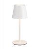 Lampka stołowa nocna LED biała owalna minimalistyczna klasyczna uniwersalna metalowa ściemnialna DIAZ IP44 R55961131 Rl