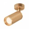Sufitowy Reflektor Złoty Natynkowy Nowoczesny FOCUS DESIGN C034CL-01G MAYTONI