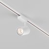 Lampa szynowa reflektor szynoprzewody jednofazowe LED nowoczesny aluminium biała regulowana tuba VUORO MAYTONI TR003-1-15W3K-S-W