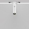 Lampa wbudowana w sufit spot LED nowoczesna regulowana tuba aluminum biała Focus T MAYTONI C141RS-L125-6W3K-W