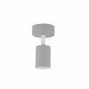 Nowoczesna oprawa ścienno sufitowa do pokoju dziecięcego szara tuba reflektor spot kinkiet LIVIA GREY 10223 TK-Lighting