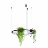 5005 PLANT 3 PENDANT LAMP