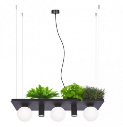 5555 PLANT SHELF LAMPA WISZĄCA CZARNA/BLACK