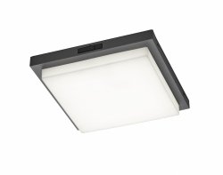 Plafon zewnętrzny LED kolor antracyt kwadratowy metalowy klasyczny uniwersalny minimalistyczny czujnik ruchu BERMEJO IP54 630369242 Trio