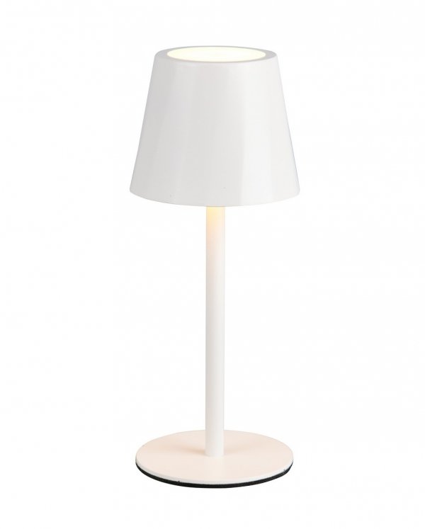 Lampka stołowa nocna LED biała owalna minimalistyczna klasyczna uniwersalna metalowa ściemnialna DIAZ IP44 R55961131 Rl
