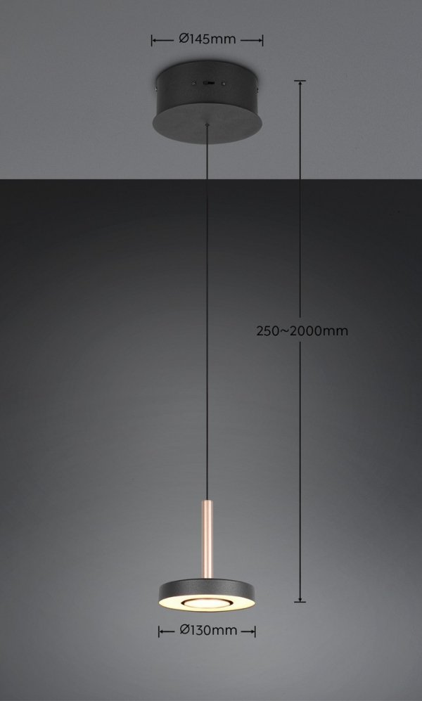 Lampa wisząca LED okrągła designerska nowoczesna ściemnialna GUANO 334410165 Trio