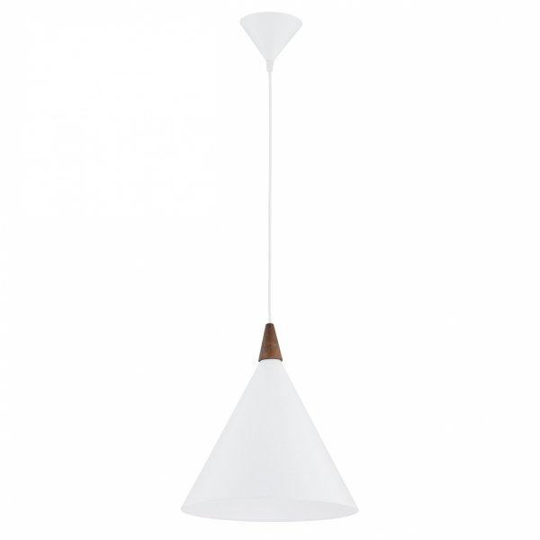 Lampa wisząca stożek ze stali lakierowanej z ciemnym drewnianym dekorem skandynawska elegancka minimalistyczna KEGEL 8631 Argon