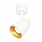 Biało Złota Oprawa Ścienno Sufitowa TINO SPL-36748-1R-WH-GD ITALUX 