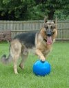 Boomer Ball S - 4 / 11cm niebieska