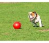 Boomer Ball L - 8 / 20cm czerwona