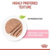 Royal Canin Mother & Babycat Mousse karma mokra - mus dla kociąt i kotek karmiących puszka 195g