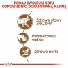 Royal Canin Ageing +12 karma mokra w galaretce dla kotów dojrzałych saszetka 85g