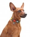 Collar WauDog Nylon Obroża nylonowa z QR-paszportem, plastikowy fastex, wzór FUTRZANE POTWORY, XXL 35mm/46-70cm