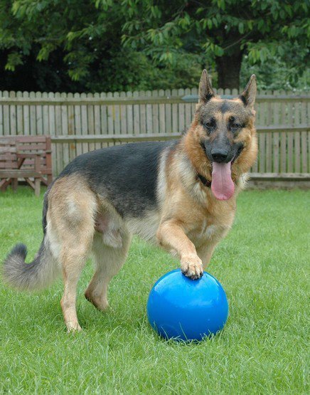 Boomer Ball S - 4&quot; / 11cm niebieska