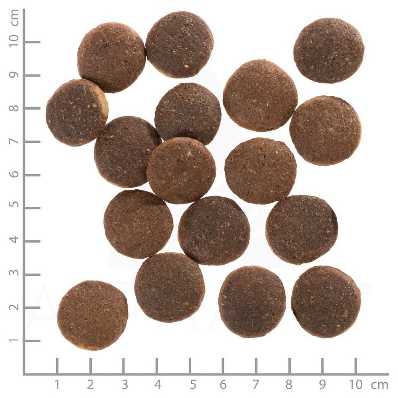 Wolfsblut Dog Red Rock - kangur i bataty 12,5kg