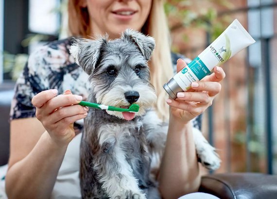 Vet&#039;s Best Dental żel + szczoteczka zestaw Adult