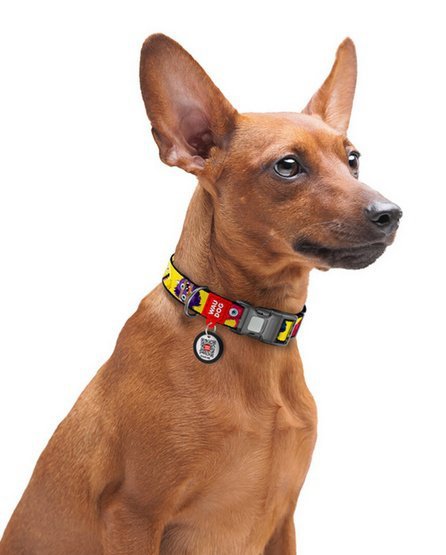 Collar WauDog Nylon Obroża nylonowa z QR-paszportem, plastikowy fastex, wzór FUTRZANE POTWORY, XXL 35mm/46-70cm