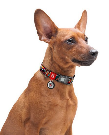 Collar WauDog Nylon Obroża nylonowa z QR-paszportem, plastikowy fastex, wzór ZĘBATE POTWORY, XXL 35mm/46-70cm