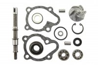 V PARTS (VICMA) ZESTAW NAPRAWCZY POMPY WODY KYMCO DINK 125, BW 125 (11625) 
