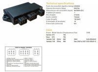 DZE MODUŁ ZAPŁONU CDI YAMAHA YXR 660 RHINO 04-07 (5UG-85540-00) 