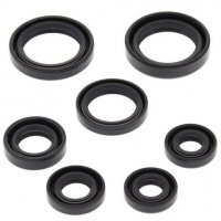 WINDEROSA (VERTEX) KOMPLET (ZESTAW) USZCZELNIACZY SILNIKOWYCH HONDA TRX350FE 00-06, TRX350FM FOURTRAX RANCHER 00-06, TRX350TE 00 