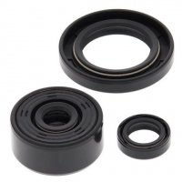 WINDEROSA (VERTEX) KOMPLET (ZESTAW) USZCZELNIACZY SILNIKOWYCH YAMAHA XT250 08-21, YFM 250 RAPTOR 08-13 