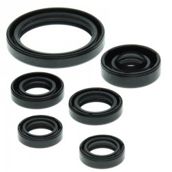 WINDEROSA (VERTEX) KOMPLET (ZESTAW) USZCZELNIACZY SILNIKOWYCH YAMAHA YFZ 450 04-13