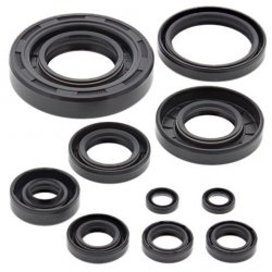 WINDEROSA (VERTEX) KOMPLET (ZESTAW) USZCZELNIACZY SILNIKOWYCH YAMAHA YZ 250 02-22