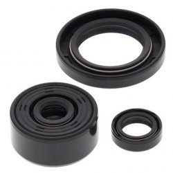 WINDEROSA (VERTEX) KOMPLET (ZESTAW) USZCZELNIACZY SILNIKOWYCH YAMAHA XT250 08-21, YFM 250 RAPTOR 08-13