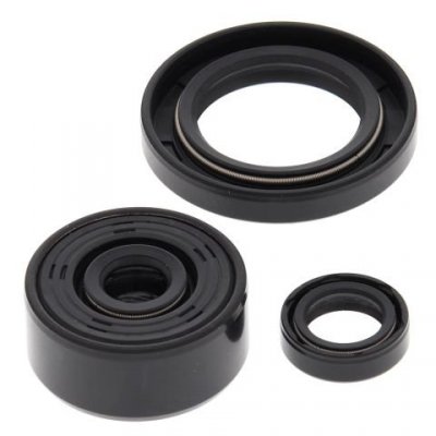 WINDEROSA (VERTEX) KOMPLET (ZESTAW) USZCZELNIACZY SILNIKOWYCH YAMAHA XT250 08-21, YFM 250 RAPTOR 08-13
