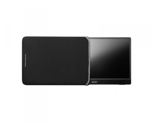 Monitor PRO MP161 15,6 cala FHD/60Hz/2xUSB C