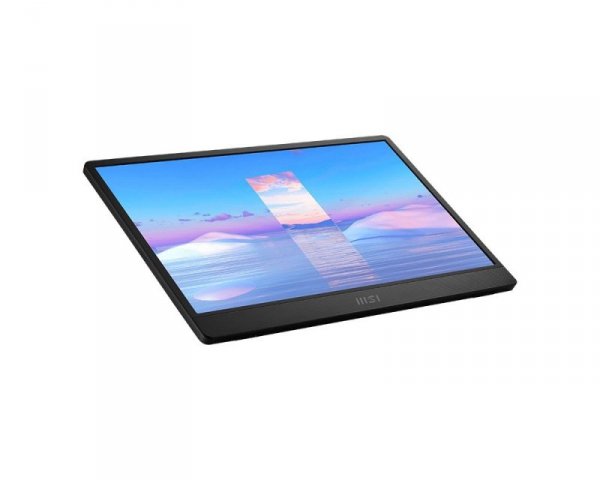 Monitor PRO MP161 15,6 cala FHD/60Hz/2xUSB C