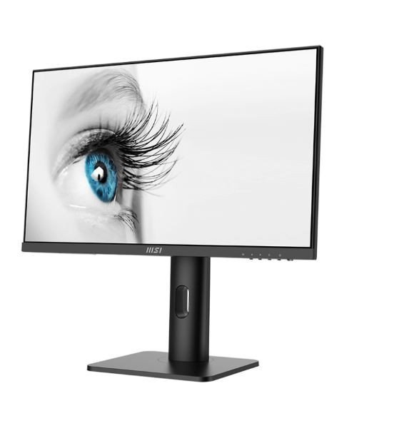 Monitor PRO MP243XP  23.8 cala /IPS/FHD/4ms/100Hz/Czarny