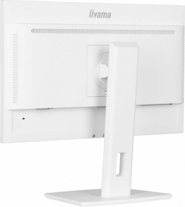 Monitor 24 cale XUB2497HSN-W1 IPS,USB-C Dock,HDMI,DP /5y/