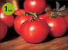 Pomidor szczepiony Fantasio