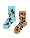 Dachshund - Junior Socks - Good Mood