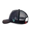 Logo Gray Dragon Ball - Cap Capslab