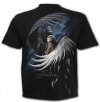 FALLEN ... - Spiral Direct